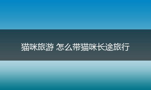 猫咪旅游 怎么带猫咪长途旅行