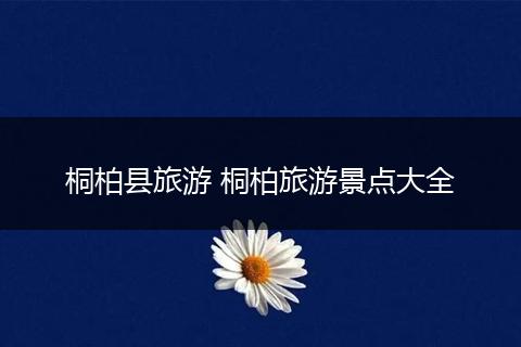 桐柏县旅游 桐柏旅游景点大全