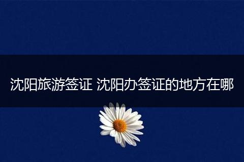 沈阳旅游签证 沈阳办签证的地方在哪