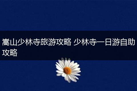 嵩山少林寺旅游攻略 少林寺一日游自助攻略