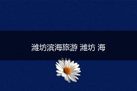 潍坊滨海旅游 潍坊 海