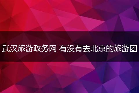 武汉旅游政务网 有没有去北京的旅游团