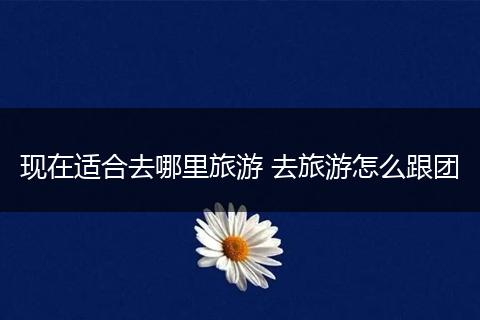 现在适合去哪里旅游 去旅游怎么跟团
