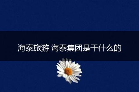 海泰旅游 海泰集团是干什么的