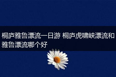 桐庐雅鲁漂流一日游 桐庐虎啸峡漂流和雅鲁漂流哪个好