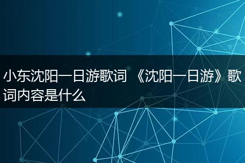 小东沈阳一日游歌词 《沈阳一日游》歌词内容是什么