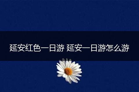 延安红色一日游 延安一日游怎么游