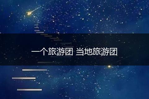 一个旅游团 当地旅游团