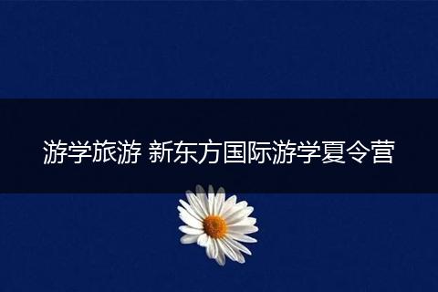 游学旅游 新东方国际游学夏令营