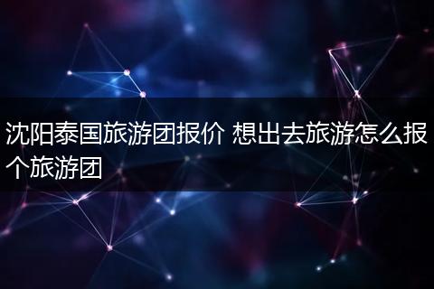 沈阳泰国旅游团报价 想出去旅游怎么报个旅游团