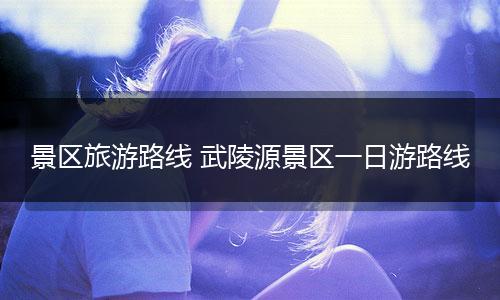 景区旅游路线 武陵源景区一日游路线
