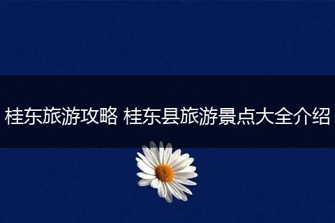 桂东旅游攻略 桂东县旅游景点大全介绍