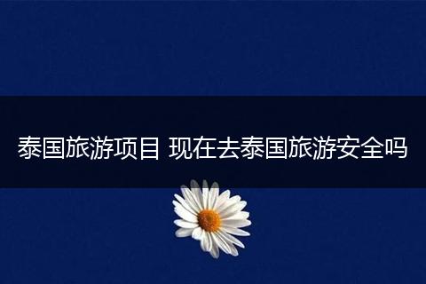 泰国旅游项目 现在去泰国旅游安全吗