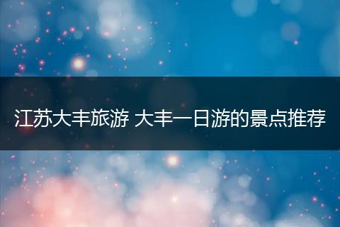 江苏大丰旅游 大丰一日游的景点推荐