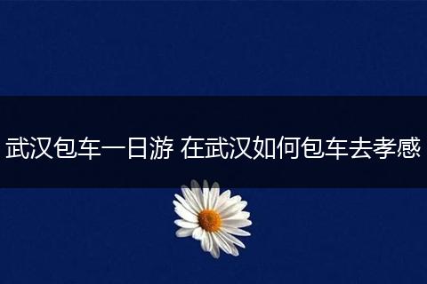 武汉包车一日游 在武汉如何包车去孝感