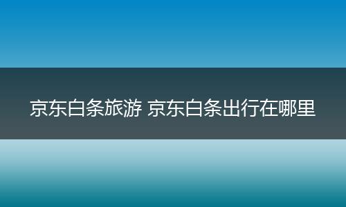 京东白条旅游 京东白条出行在哪里