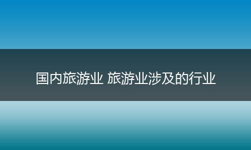 国内旅游业 旅游业涉及的行业