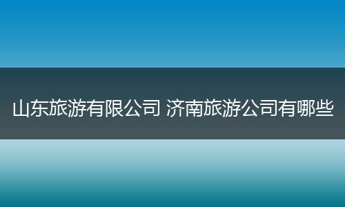 山东旅游有限公司 济南旅游公司有哪些
