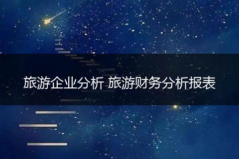 旅游企业分析 旅游财务分析报表