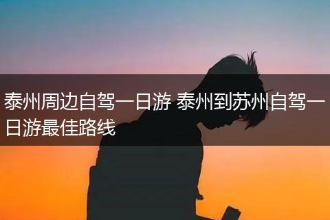 泰州周边自驾一日游 泰州到苏州自驾一日游最佳路线