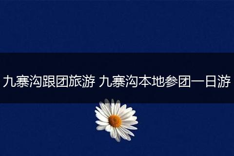 九寨沟跟团旅游 九寨沟本地参团一日游