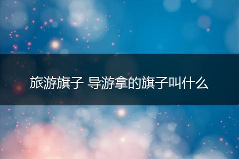 旅游旗子 导游拿的旗子叫什么