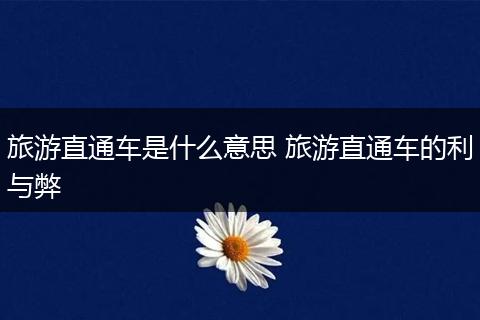 旅游直通车是什么意思 旅游直通车的利与弊