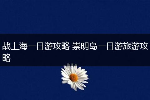 战上海一日游攻略 崇明岛一日游旅游攻略