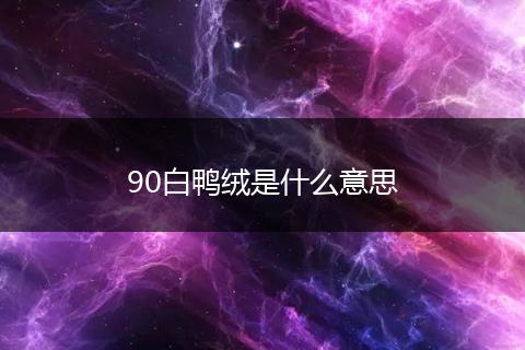 90白鸭绒是什么意思
