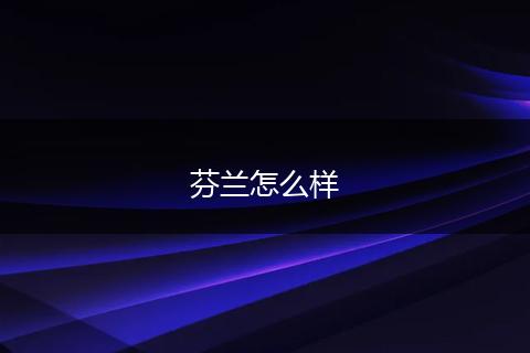 芬兰怎么样