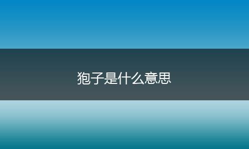 狍子是什么意思