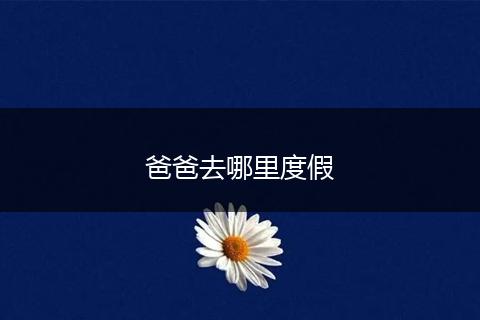 爸爸去哪里度假