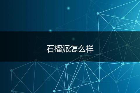 石榴派怎么样