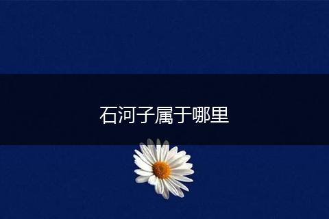 石河子属于哪里