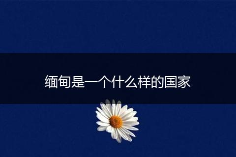 缅甸是一个什么样的国家