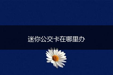 迷你公交卡在哪里办