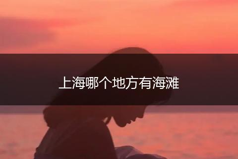 上海哪个地方有海滩