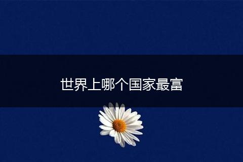 世界上哪个国家最富