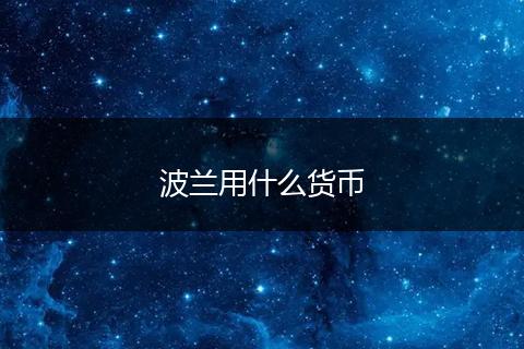 波兰用什么货币