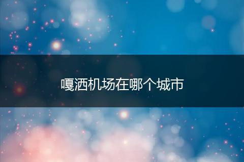 嘎洒机场在哪个城市