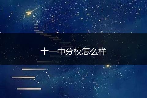 十一中分校怎么样