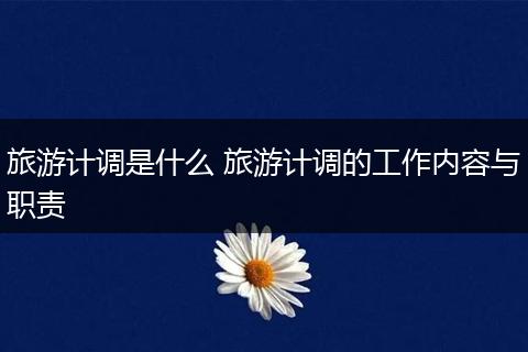 旅游计调是什么 旅游计调的工作内容与职责