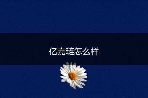 亿嘉琏怎么样