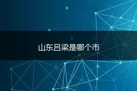 山东吕梁是哪个市
