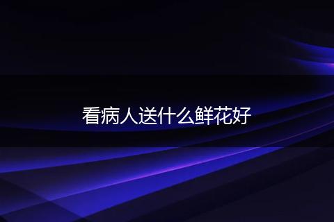 看病人送什么鲜花好