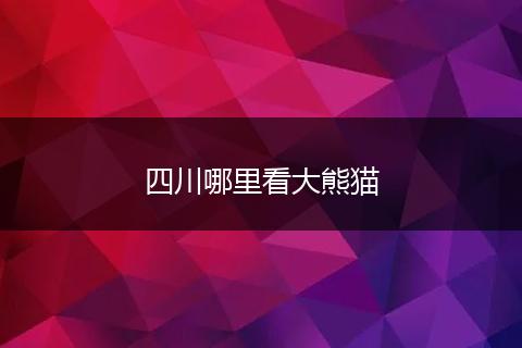 四川哪里看大熊猫
