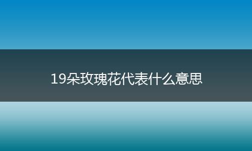 19朵玫瑰花代表什么意思