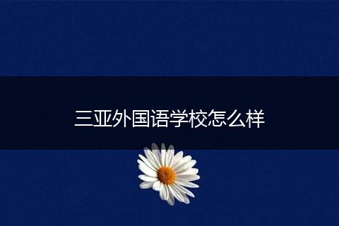 三亚外国语学校怎么样