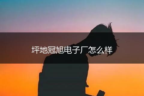 坪地冠旭电子厂怎么样