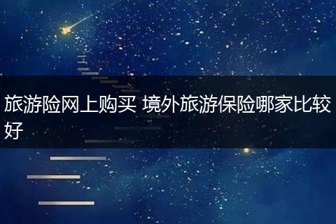 旅游险网上购买 境外旅游保险哪家比较好